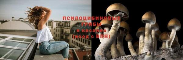 spice Алзамай