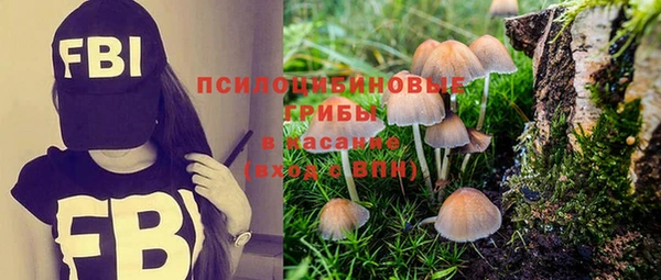 spice Алзамай